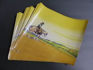 LOTE DE 25 UNIDADES ANTIGUO AL POR MAYOR ETIQUETA DE CAJA DE STOCK AÑOS 30 PROYECTOS ARTESANALES A CABALLO DEL VIEJO OESTE - Imagen 1 de 2