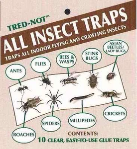 10 pk ALL INSECT STICKY TRAPS. Fly, Spider, Cricket, Roach Lady Bug IN USA - Picture 1 of 11