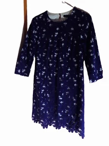 NWT Cynthia Steffe Bright Blue Lace Overlay Shift Dress Sz 2 $248 3/4 sleeves - Picture 1 of 11
