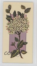 1977 Carreras Craven Black Cat Flowers All the Year Round Tobacco #21 2p7