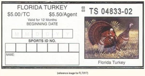 D2K Florida Turkey Stamp 2002 $5.50 s/adh - Picture 1 of 1