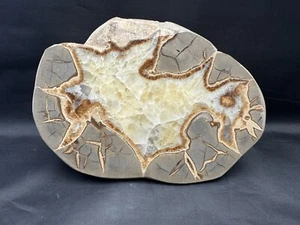 Large Septarian Nodule 6lb 14oz Polished Utah Dragon Stone Geode Fossil Crystal - Picture 1 of 10