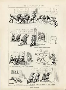 BULL TERRIER POODLE BLACK FRENCH DOG ANTIQUE ENGRAVED ART PRINT Louis Wain 1892 - Picture 1 of 1