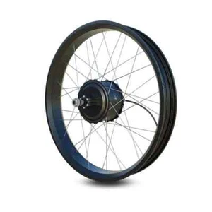 1000W 20/26inch Brushless Gear Rear Hub Motor Wheel for E-bike Conversion Kit - Picture 1 of 20