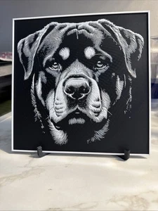 "Impresión 3D Rottweiler Dog Hueforge con caballete impreso 8x8"" decoración" - Imagen 1 de 3