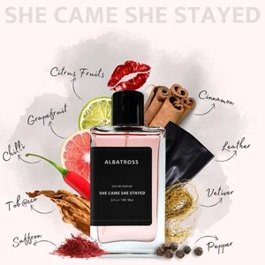 Albatross SHE CAME SHE STAYED Eau De Parfum Unisex | Ultra Long Lasting  | 100ml - Picture 1 of 6