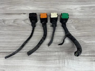 Chrysler Town Country 2006 6 cilindros 3,3 L ECM ECU arnés de cableado conector de enchufe OEM. Foto 1 de 4