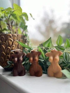 Candles / Lady Body Candle | Sculpture Fragranced | Torso Candle| Naked Candle - Picture 1 of 7