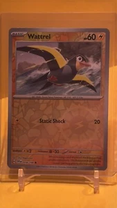 Pokemon Wattrel Scarlet & Violet - Reverse Holo 078/198 - Picture 1 of 2