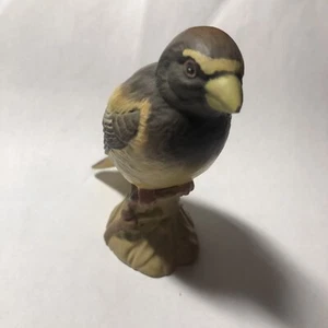 SELTENES SAMMLERSTÜCK MATT BESWICK AMERIKANISCHER ABEND GROSBEAK VOGEL #2190 kleiner Fehler - Bild 1 von 7