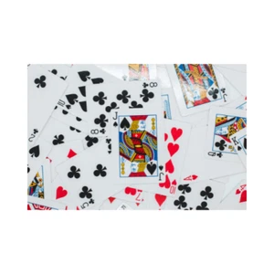 magic trick Ultra Turnover Bicycle best magic card trick self working! - Picture 1 of 4