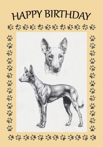 PHARAOH HOUND DOG BIRTHDAY GREETINGS NOTE CARD - Picture 1 of 1