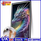 Paint By Numbers Kit DIY Dragon Hand Oil Art Picture Craft Home Decor(H1633) UK