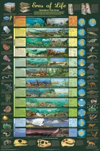 Eras of Life Geological Time Scale Science Educational Poster 24x36 In - Picture 1 of 1