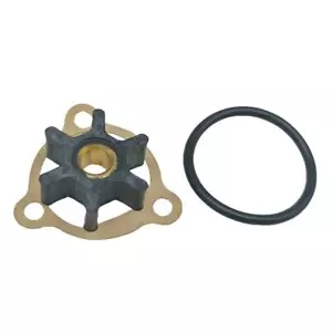 Impulsor Yanmar 1GM 1GM10 rplcs 128176-42071 128170-42070 Jabsco 1411-0001 CEF - Imagen 1 de 10