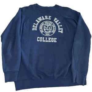 Vintage 70s Delaware Valley College Hoodie Sweatshirt 50-50 USA Artex Jostens S - Picture 1 of 7