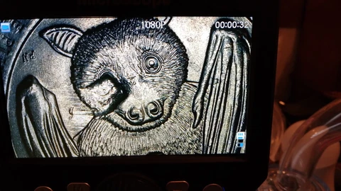 error coins us quarters 2020... blind bat  strike thru error Cover