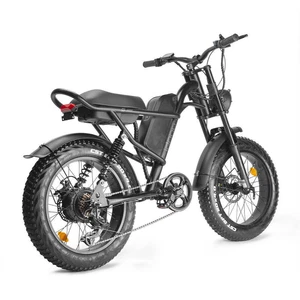E bike 20 Zoll Elektrofahrrad Fatbike Shimano 25km/h Pedelec 250W FAFREES F20 - Afbeelding 1 van 17