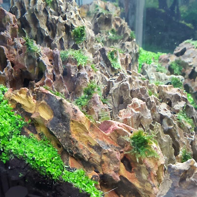 Dragon Stone (Ohko Stone) / Planted Aquarium / Decoration / Hardscape 10 Lbs Box - Image 1 of 4