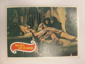 🦍 Tarjeta coleccionable 1967 El planeta de los simios #19 ¡La vida de Taylor está salvada! Vintage 🎬 - Imagen 1 de 2