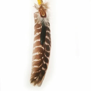 ref: tane01 Plume AMERINDIEN HURON 5 Nations Canada color: tane - Imagen 1 de 3