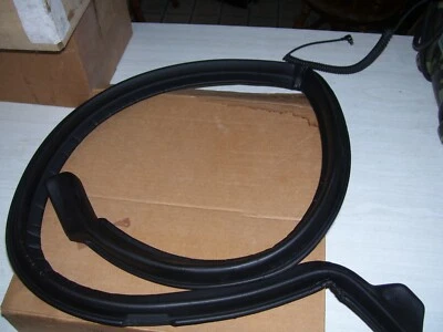 NOS GM BUICK 79 - 85 RIVIERA ROOF RAIL WEATHERSTRIP LH 20216963  — 第 1/2 张图片