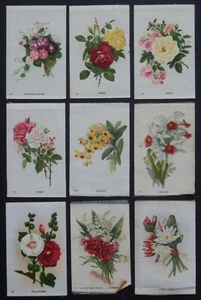 GARDEN FLOWERS of the WORLD 1913 Imperial Tobacco Silks BLACK NUMERALS - Picture 1 of 4