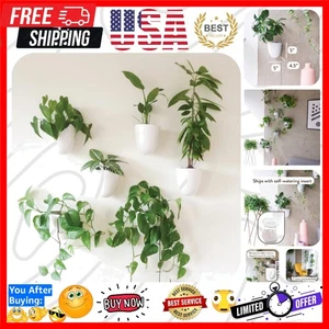 Stylish PlantPod Luxe Set of 6 Self-Watering Wall Planters – Space-Saving Design - Picture 1 of 9