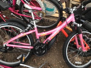 Trek Bike 24 Inch Girl Discount, 55 