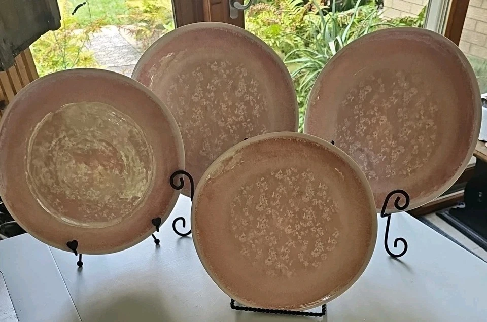 4 platos de cena florales Nicole Miller de 10,5 pulgadas rosa polvoriento nuevos Foto 1 de 4