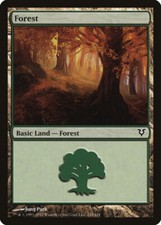 Forest (243) Avacyn Restored NM Basic Land MAGIC THE GATHERING CARD ABUGames