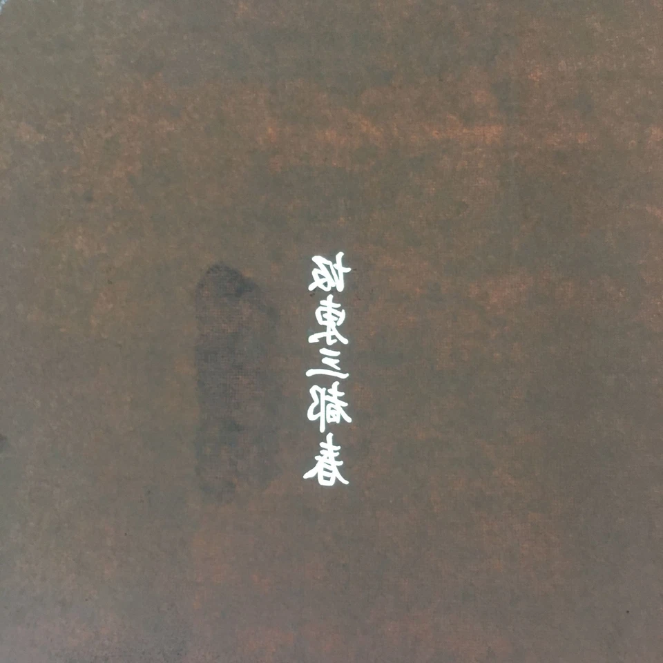 Plantilla Kimono Katagami Japonés De Colección Katazome Kanji Diseño Hoja de Primavera C512 Foto 1 de 4