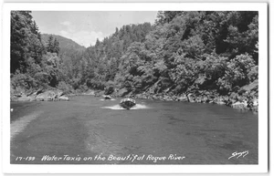 RPPC Water Taxis, Rogue River, Oregon Sawyers Photo 1950s Vintage Postcard - Picture 1 of 2