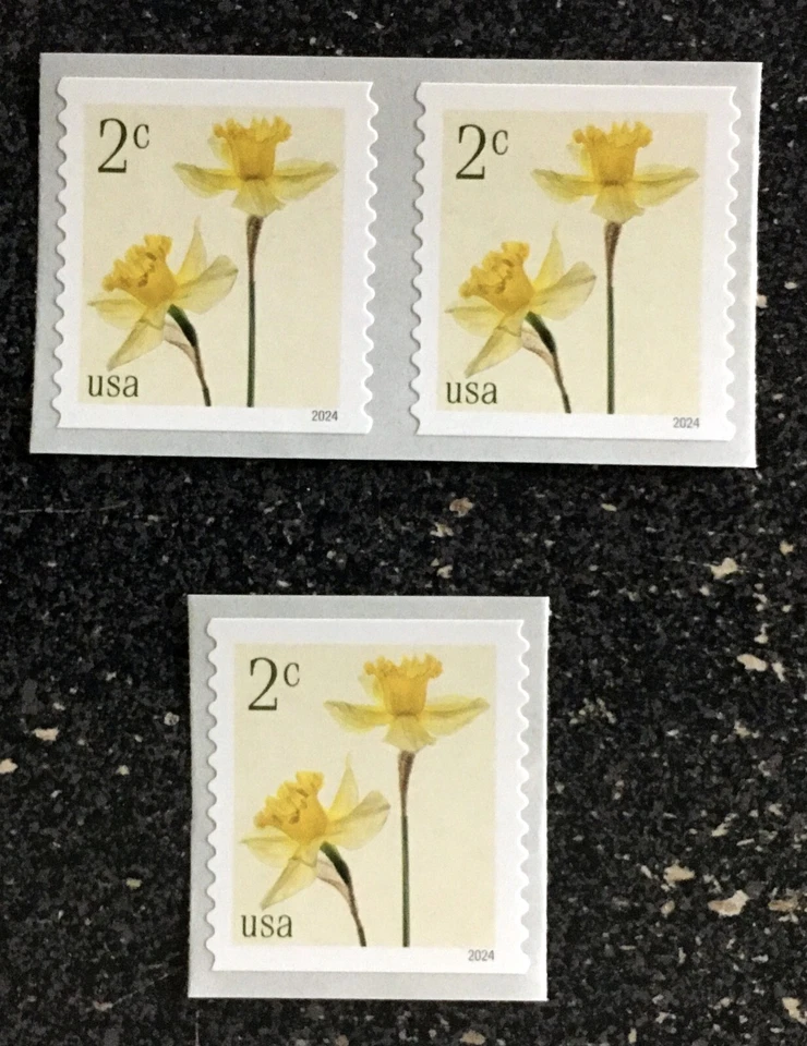 2024USA #5903 2c Daffodils - Coil Single & Pair  Mint NH    flower - Image 1 of 1