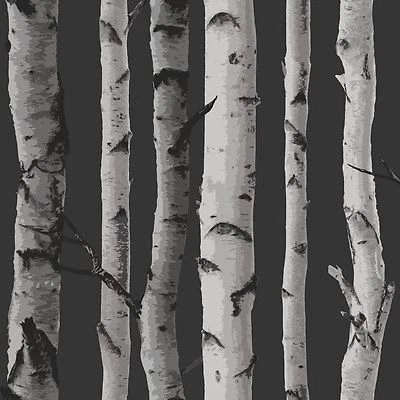 Fine Decor Birch Trees Black & Silver Metallic Wallpaper FD31052 - Image 1 of 3