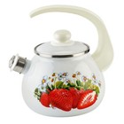 2.7qt Novomoskovsk Strawberry Enamel Kettle with Whistle Vintage Enameled Teapot