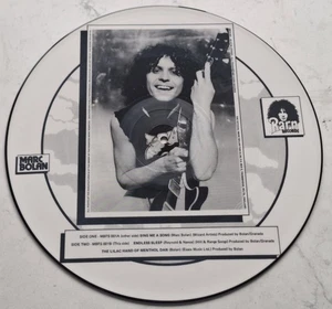 Marc Bolan T.Rex Sing Me A Song 12" Picture Disc Fan Club Pressing A2/B2 EX - Imagen 1 de 4