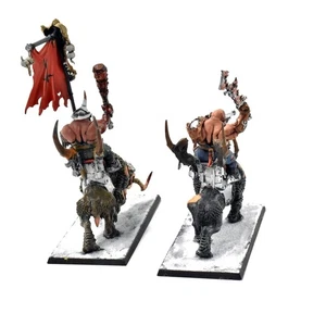 OGOR MAWTRIBES Mournfang Pack #6 WELL PAINTED Warhammer Sigmar - Bild 1 von 5