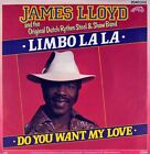 7" JAMES LLOYD Limbo La La DUTCH RYTHM STEEL & SHOW BAND PIERROT 1982 like NEW!