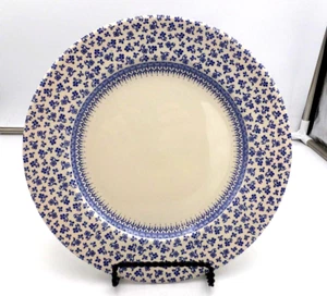 Vajilla inglesa Ironstone Staffordshire procedencia placa de 9 3/4 pulgadas - Imagen 1 de 4
