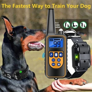 Antibell Hundehalsband Ton und Vibration Schock Set Training Erziehungshalsband - Bild 1 von 15