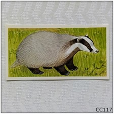 Brooke Bond A Journey Downstream #10 The Badger Tea Card (CC117)