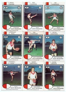 1975 Scanlens FULL Team Set SOUTH MELBOURNE 13 Cards - Unmarked CHECKLIST - Picture 1 of 4