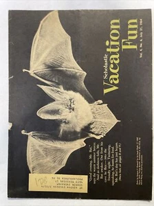 1964 July 31, Scholastic Magazine, Mr. Bat (CP119) - Picture 1 of 3