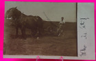 1907 GIANT PAIR OF Horse's Pulling Cart With Man Post Card NP
