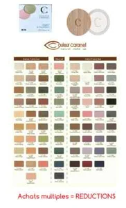 COULEUR CARAMEL Ombre à paupières 007 à 157 Maquillage BIO Naturel Poudre Fard - Imagen 1 de 1