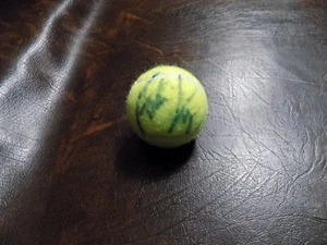 ANDRE AGASSI & STEFFI GRAF AUTOGRAPHED PENN TENNIS BALL W/COA - Picture 1 of 2