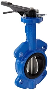 Dixon BFVW300 Ductile Iron Wafer Style Butterfly Valve with Stainless Steel Disc - Picture 1 of 2