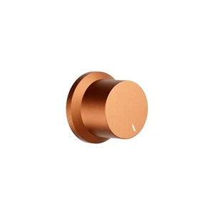 Replaceable Orange Knob for the BT20A PRO Amplifier - Picture 1 of 2