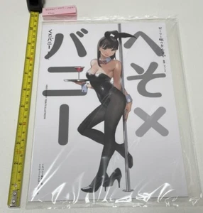 heso bunny girl art book some artist yom etc comiket air 3 - Imagen 1 de 8